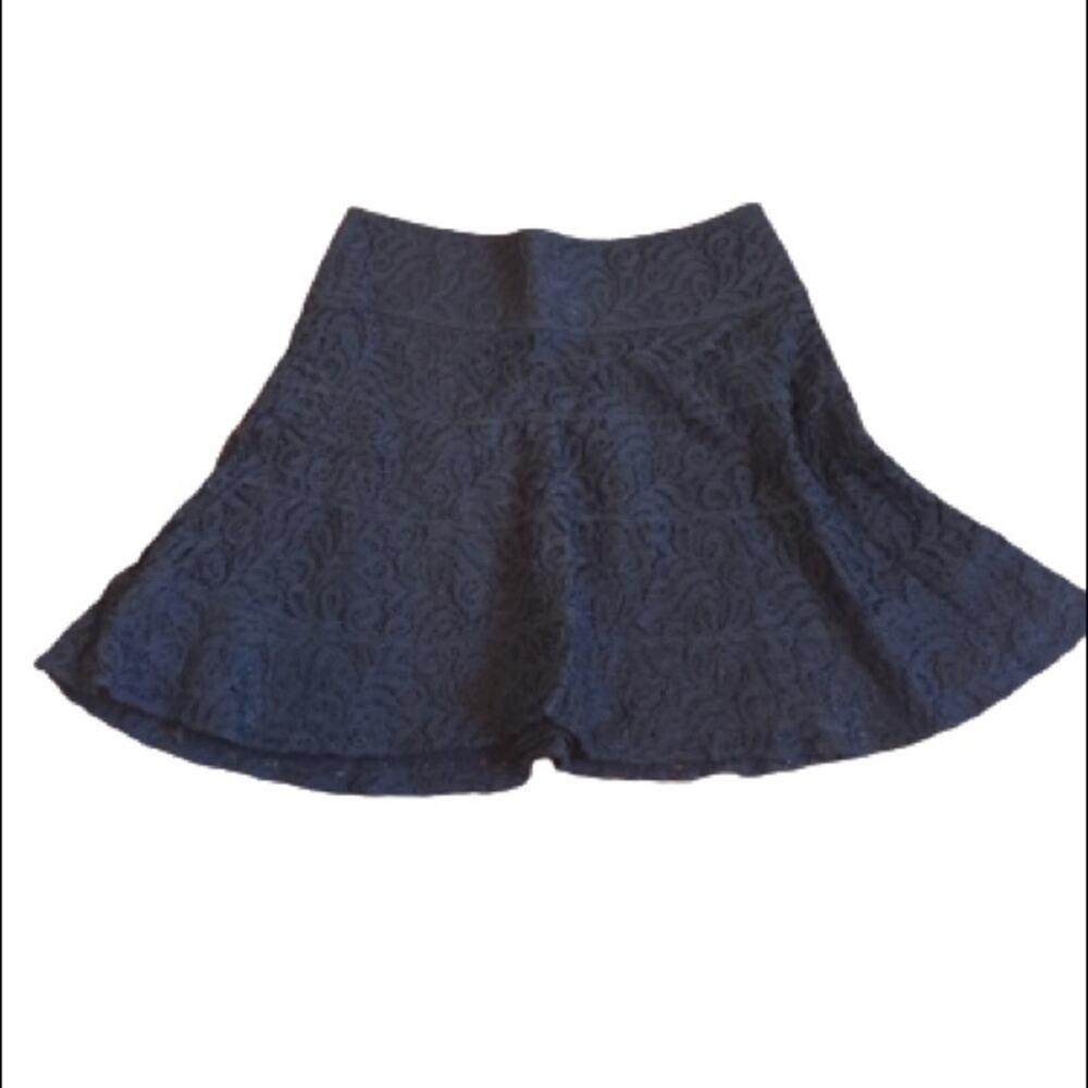 EXPRESS Black Lace Skater Skirt